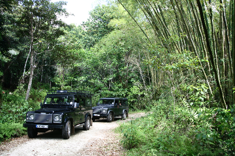 Location 4X4 Defender 110 Land-Rover en Guadeloupe en Privatisé avec Guide Chauffeur